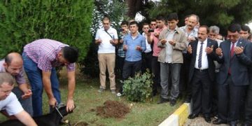 Antalya 1 No’lu Şube – Taşeron İşçilerin Kadrolu İlk Günü ve Kurban Merasimi