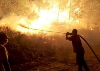 ORMAN YANGINLARI VE SEL FELAKETLERİ KADER OLMAMALIDIR