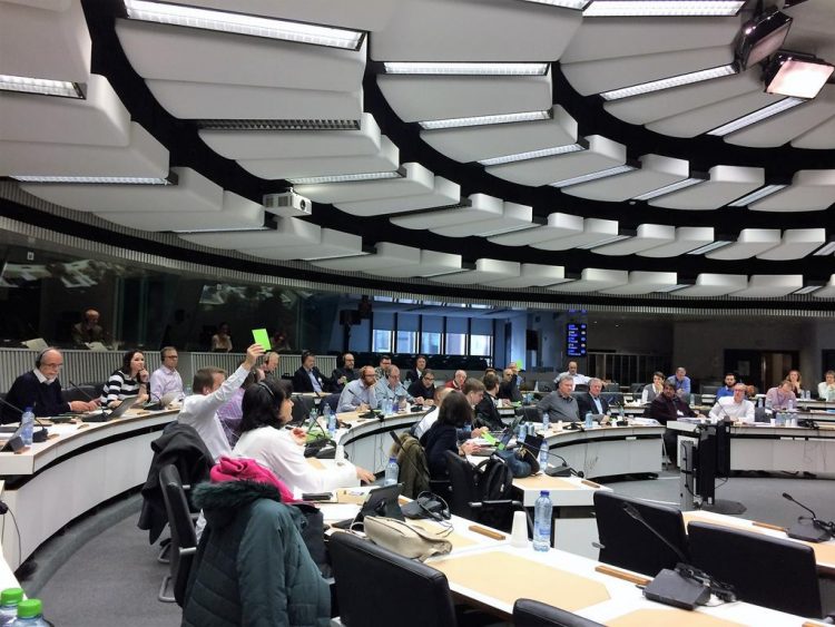 EFBWW Yönetim Kurulu Toplantısı