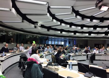 EFBWW Yönetim Kurulu Toplantısı